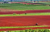 Council backs farmers’ “Check the Science” campaign