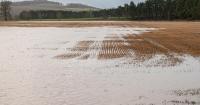 El Niño could add to weather and cost pressures for Scottish farmers