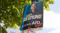 Germany’s AfD wins Saxony-Anhalt election with record 43.8pc vote