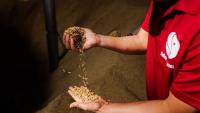 Global basmati market shifts towards premium quality, says SSIEL MD Aman Gupta