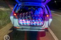 Commercial cannabis haul seized near Yass