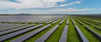 Australia’s large-scale solar hits new state records as curtailment falls