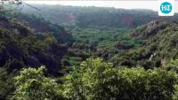 National meet on strengthening biodiversity governance kicks off