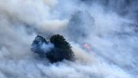 WMO warns wildfires, heatwaves threaten global air quality gains