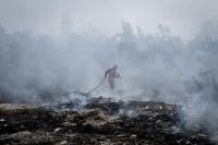 What a record‑shattering El Niño means for the world’s weather