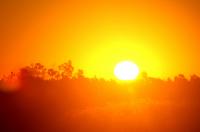 Heatwaves caused 240 excess deaths in Brussels, more than 2,500 across Belgium