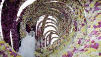 400,000 Dahlias and Giant Floats: Netherlands Hosts Spectacular Flower Parade