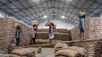Gulf instability boosts India's BIRC, attracting global rice buyers
