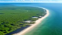 The Brutal Battle for Paradise: This Florida Keys Property Rights Case Study Reveals Everything