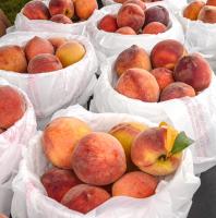 Climate change puts 10 Georgia foods at risk | Exclusive