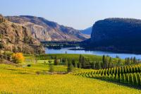 How one Canadian wine group turned frost into focus