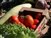 Why food security is driving cross-border investment