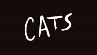 'Cats' musical to return to Korea for first time in three years in December