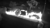 Cars firebombed in Sydney