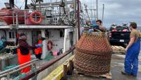 Wanted: more young people to come on board N.L.'s aging fishing industry