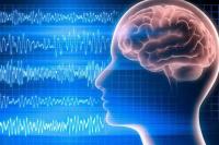 Russian firm targets universities with medical tech