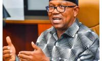 Peter Obi Media Office raises alarm over 600 academics’ endorsement of Tinubu