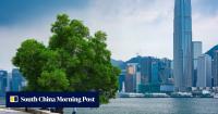Chinese firms’ green-tech expansion hinges on Hong Kong, senior bankers say