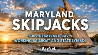 Maryland Skipjacks: The Chesapeake Bay’s Working Sailboat And State Symbol