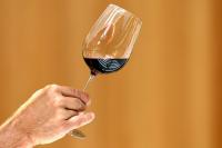 France faces worst wine harvest in 30 years after severe heatwaves and drought
