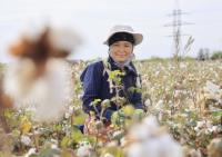 Uzbekistan strengthens inspections ahead of cotton harvest