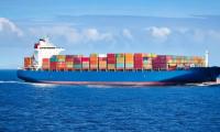 Exporters can now apply for certificates of origin directly from their business software: Govt