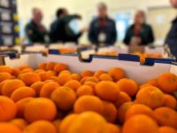 Chilean inspection station sets record with 14.4M boxes of US-bound fresh produce
