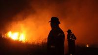 WMO Warns Wildfires and Heat Waves Threaten Global Air Quality and Public Health