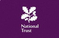 National Trust pauses TikTok ads after AI content ‘error’