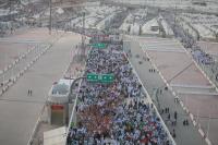 Egyptian Pilgrims Among Dead and Injured in Saudi Bus Crash