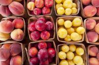 Wandile Sihlobo | SA farm exports surge, with Africa taking 40%
