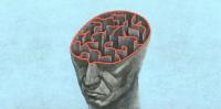 Inside the brain: Rethinking the mechanisms of Alzheimer’s disease