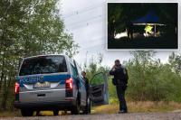 German authorities unearth 21 explosives after electricity grid attack