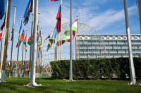 Pope’s visit will be ‘crucial moment’ for AI policy, says Unesco
