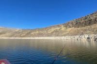Health advisory issued for Ririe Reservoir after potentially dangerous toxins found