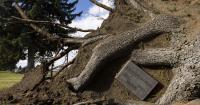 In focus: The best images from the Montana Standard last week