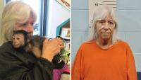 A Missouri Woman Allegedly Traded Her Foster Child for a Monkey, but a Judge Suspended Her Prison Sentence