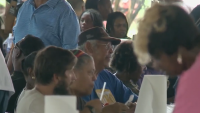 Workers gather at City Park in New Orleans to celebrate Labor Day with annual AFL-CIO picnic