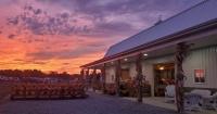 Updated: 2026 guide to fall festivals in southwest Ohio