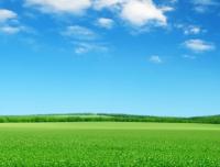 Clean Air and Intensive Livestock Farming: The Hidden Cost Behind Cages and Sheds