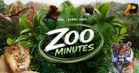 SCETV launches immersive educational content series Zoo Minutes