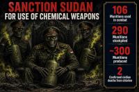 Sudan’s Chemical Weapons: Sanctions, Accountability, and the EU Response