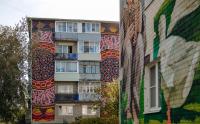 Ryazan, Through the Walls: A Street Art Guide to the City