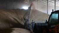 Latvia floats 300% tariff on grain arriving from Russia, Belarus