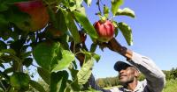 Vermont apple orchards offer fall fun, new passport program, photo contest