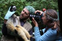 Mitchell Irwin explores anthropology at NIU and abroad