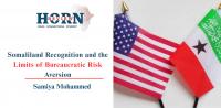 Somaliland Recognition and the Limits of Bureaucratic Risk Aversion
