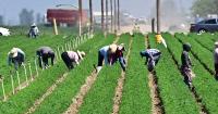 For Central Valley farmworkers, a court order brought calm. Now it's on hold — and LA is watching