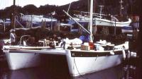 Family's epic 6,000 mile journey to Brazil in dad's homemade catamaran