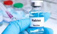 Delhi-Seized Abhayrab Vials Were Not Manufactured by IIL, Company Clarifies